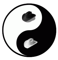 Software Security yin yang